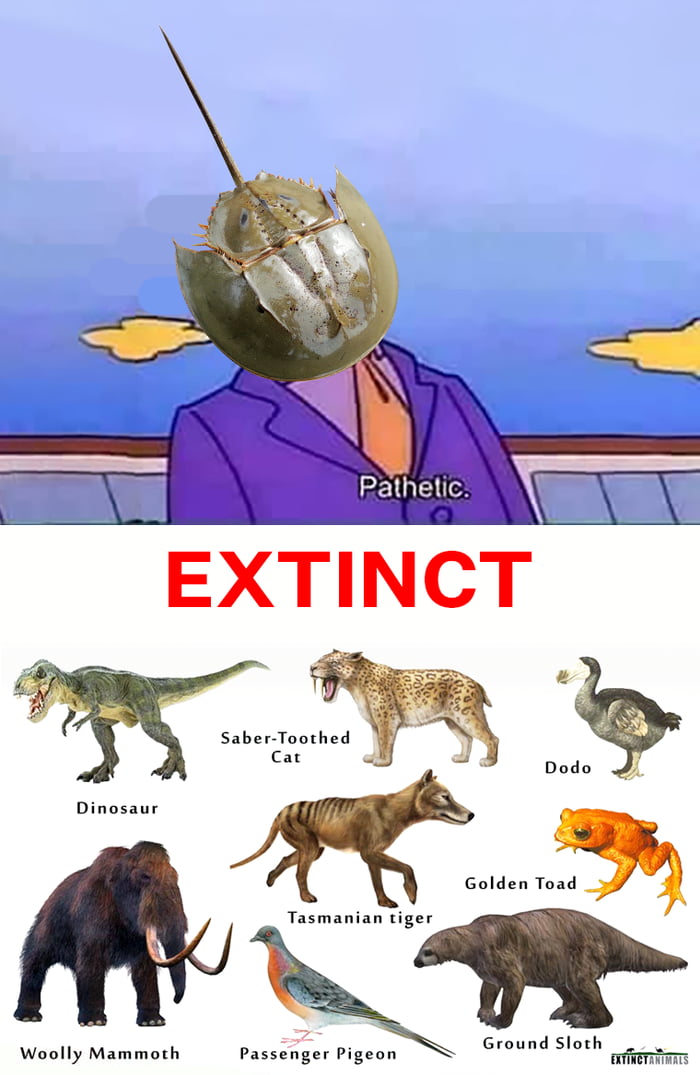 Weakness disgusts me 9gag