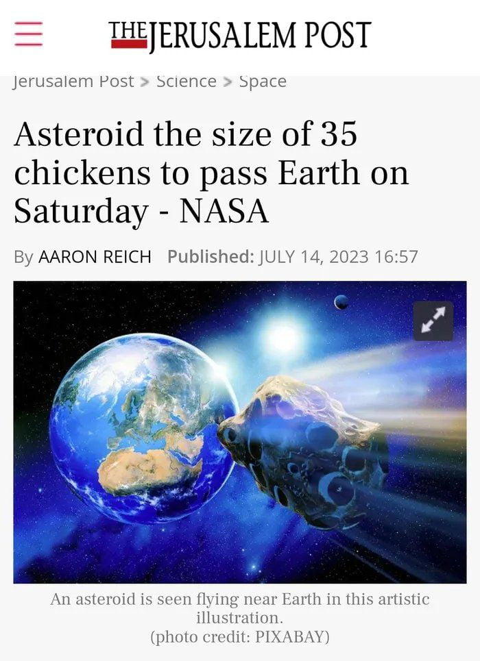 20 Chickens - 9GAG