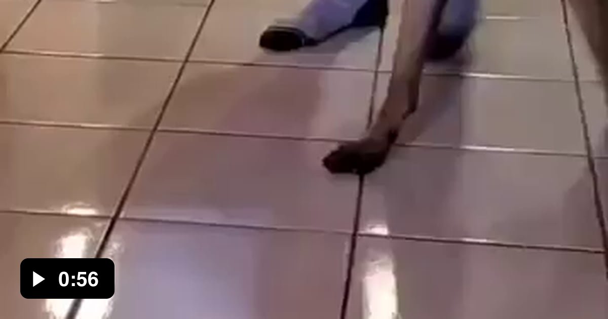 Guide Dog Helps Blind People Use Toilet 9GAG