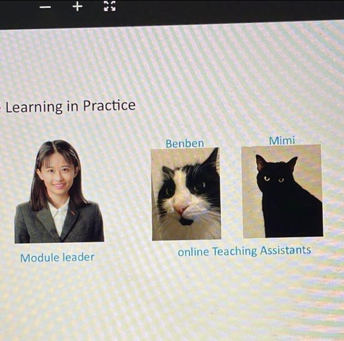 Online Learning - 9GAG