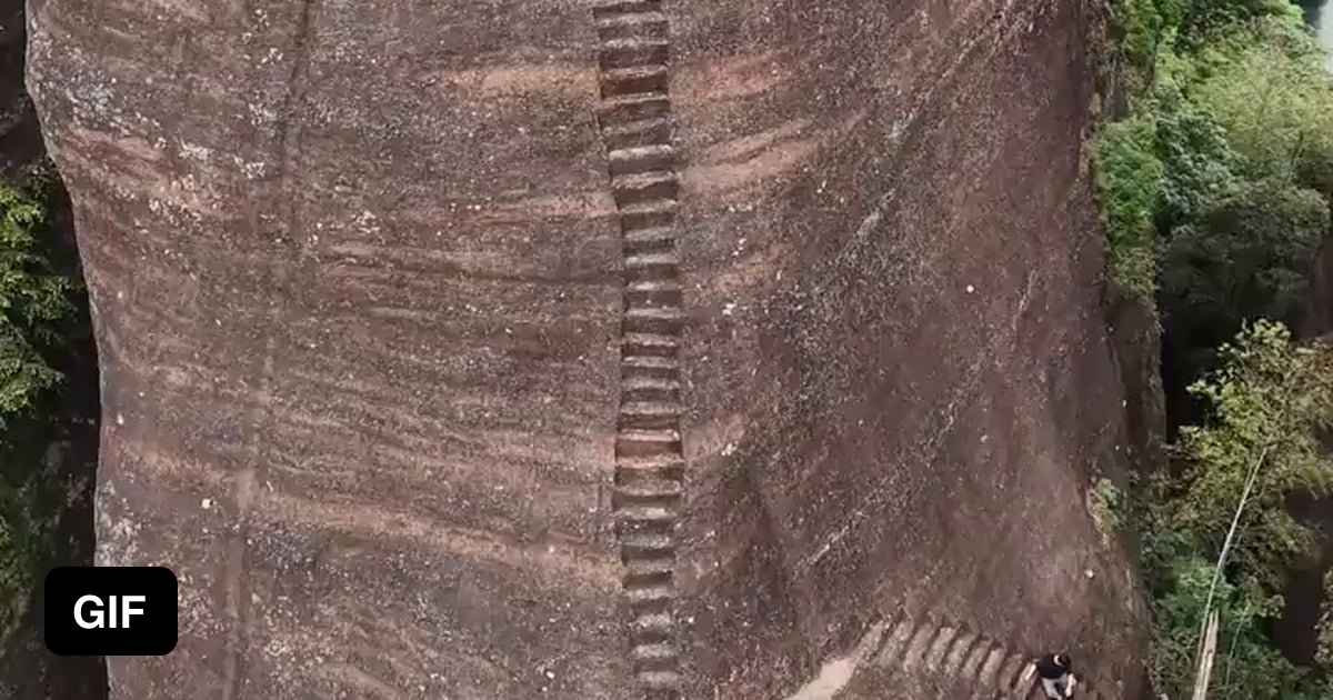 Gaggled Like Rocks Terrifying - 9GAG