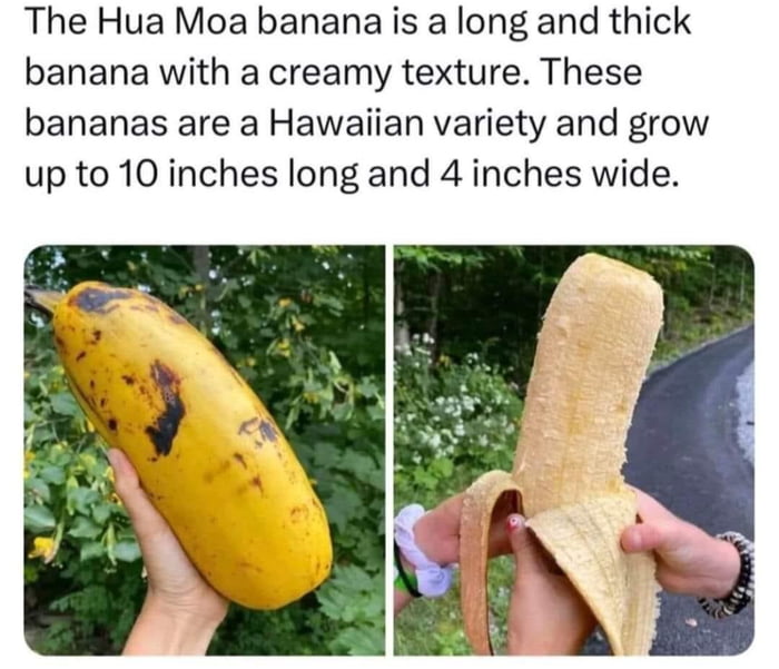 I need a banana for scale (25x10cm in non retarded units) - 9GAG