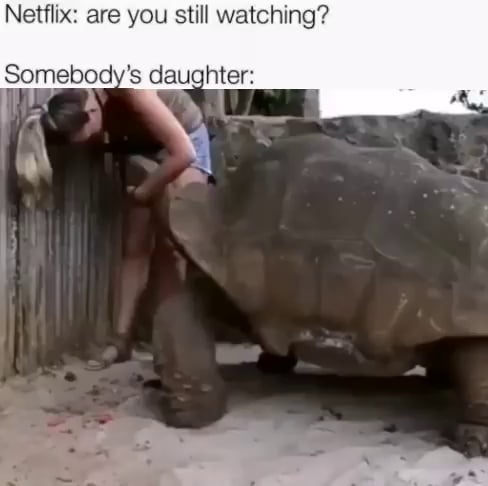 Netflix Are You Still Watching Someone S Daughter Ifunny