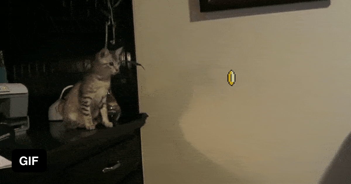 Кот прыгает гиф. Гифка выглядывает. Кот выглядывает gif. Кот в прыжке гифка. Выглядывать прикол гиф