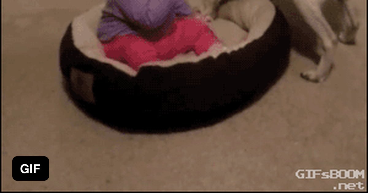 Get off my bed you stupid baby 9GAG