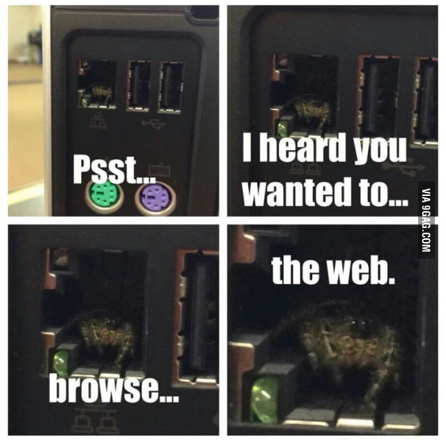 "The Web" - 9GAG