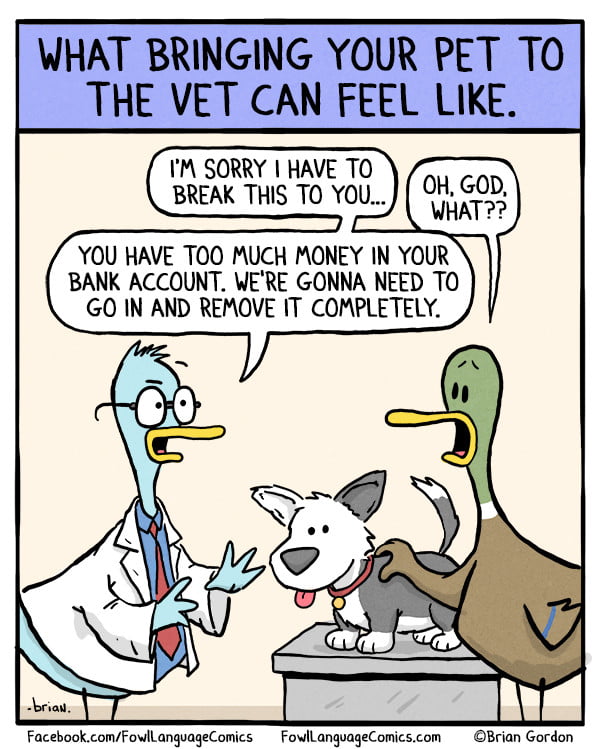 A visit to the vet - 9GAG