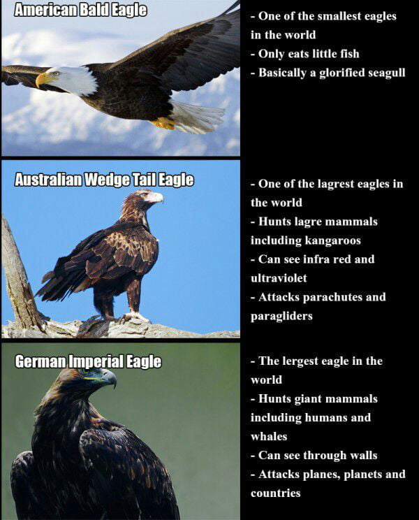 die-deutschen-9gag