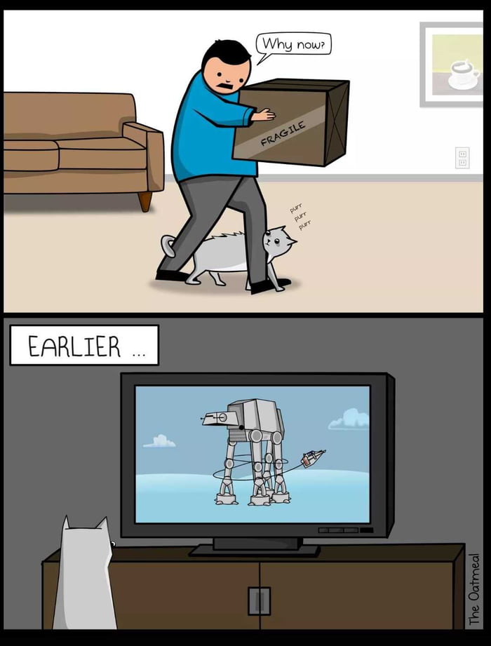 My Cat Loves Me 9GAG