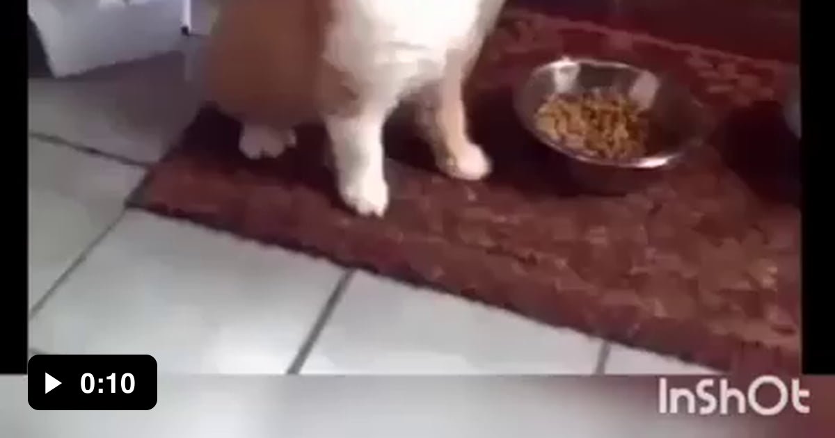 Its just perfect - 9GAG