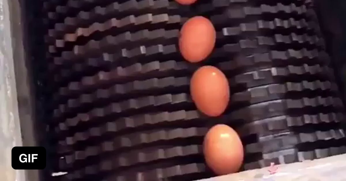 Strong eggs - 9GAG