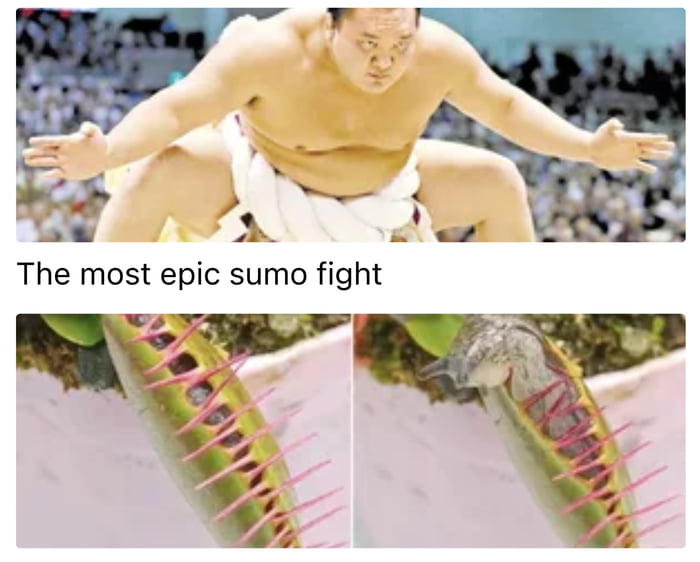 Epic indeed - 9GAG