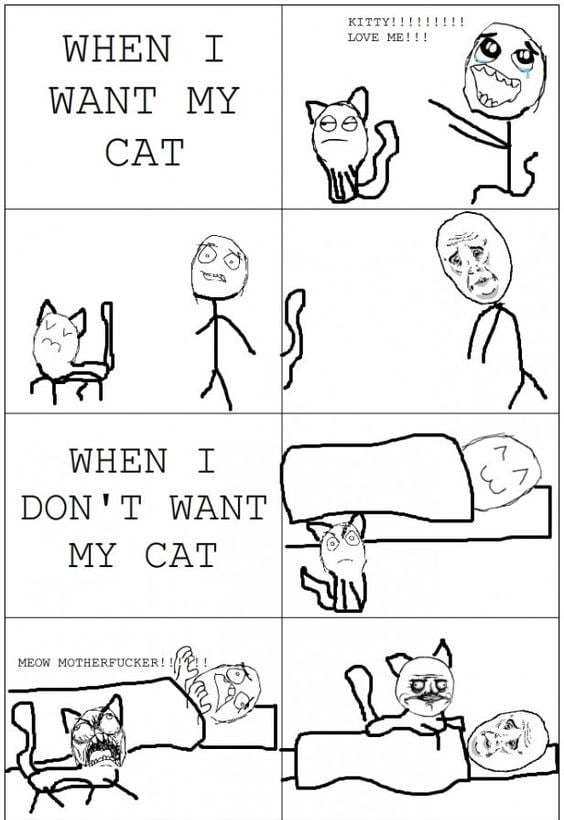 MEOW - 9GAG