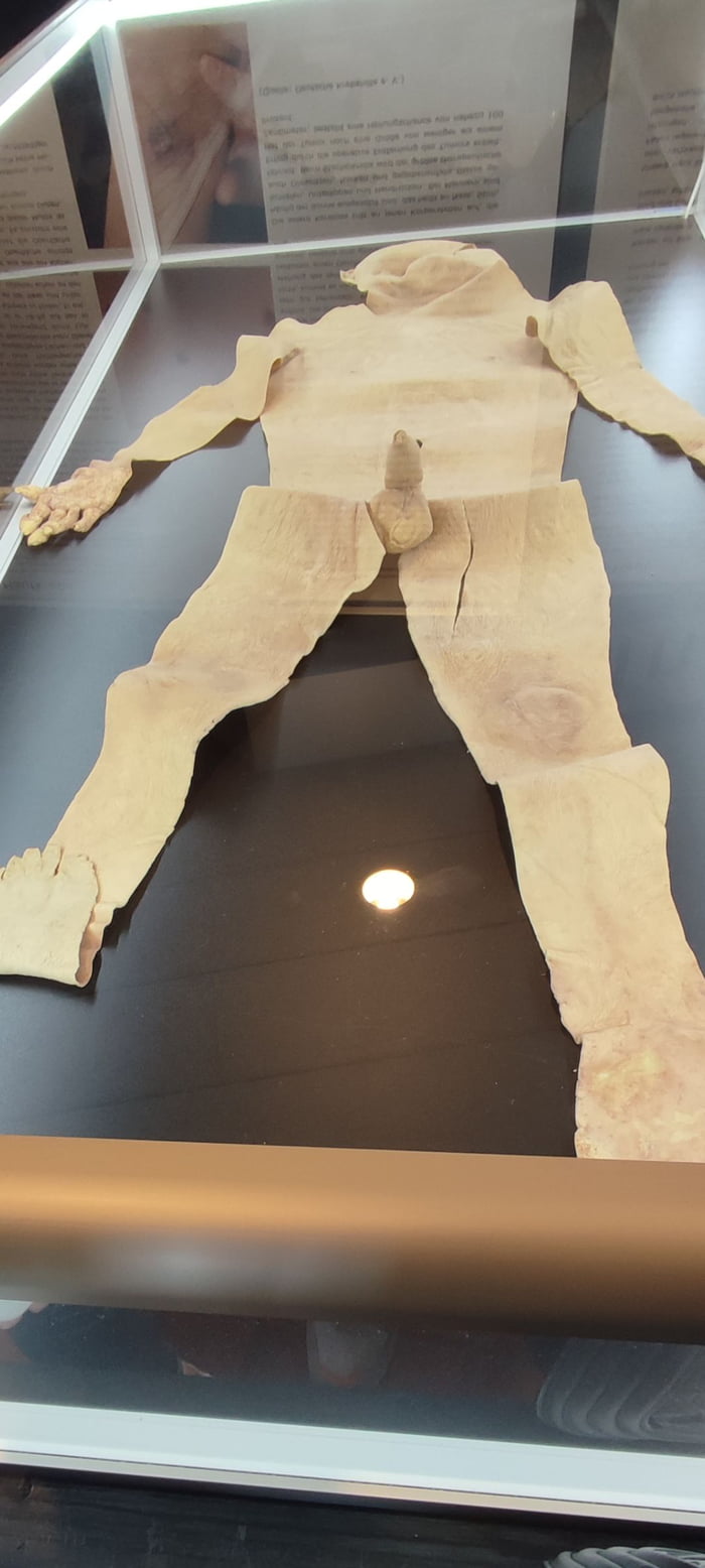 Real human skin...processed to leather 9GAG