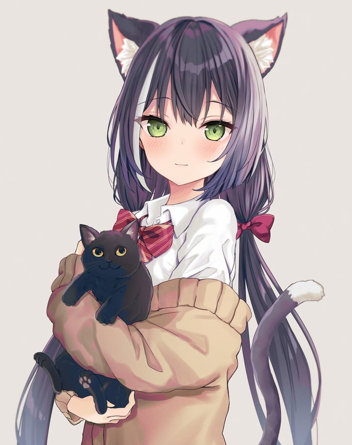 Cat holding a cat - 9GAG