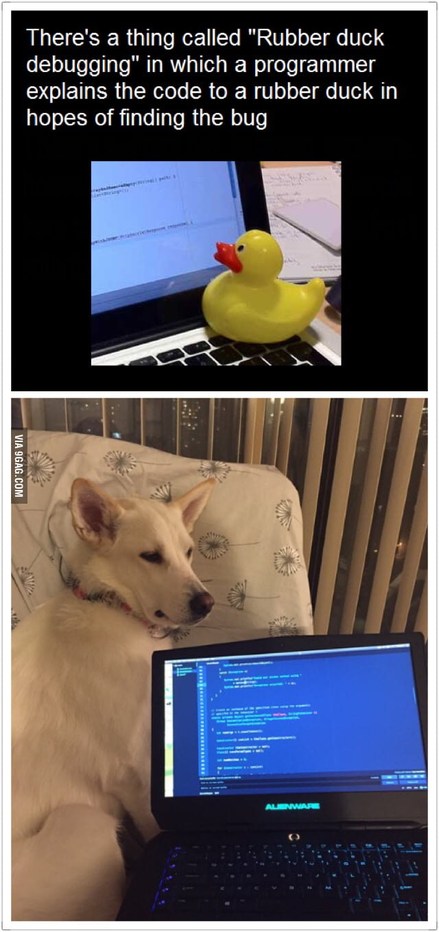 Attempt at Rubber duck debugging without a rubber duck (my dog runs