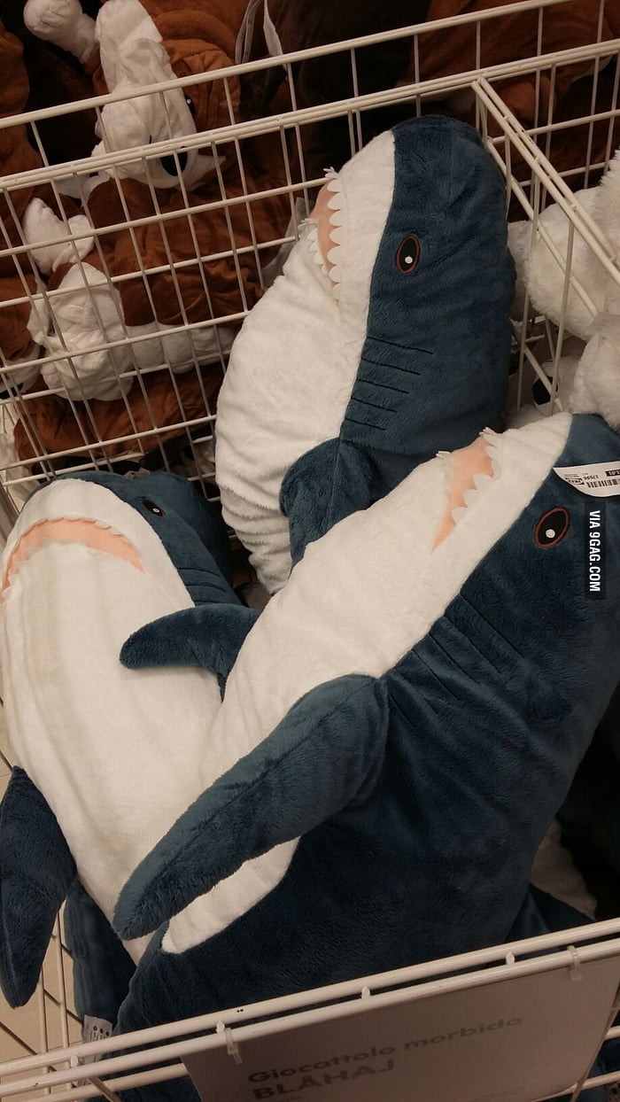 ikea shark whatever