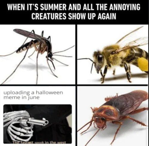 Did I spook ya? - 9GAG