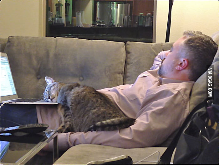 This is how my bf and our cat fell asleep. We are a family of geeks. - 9GAG