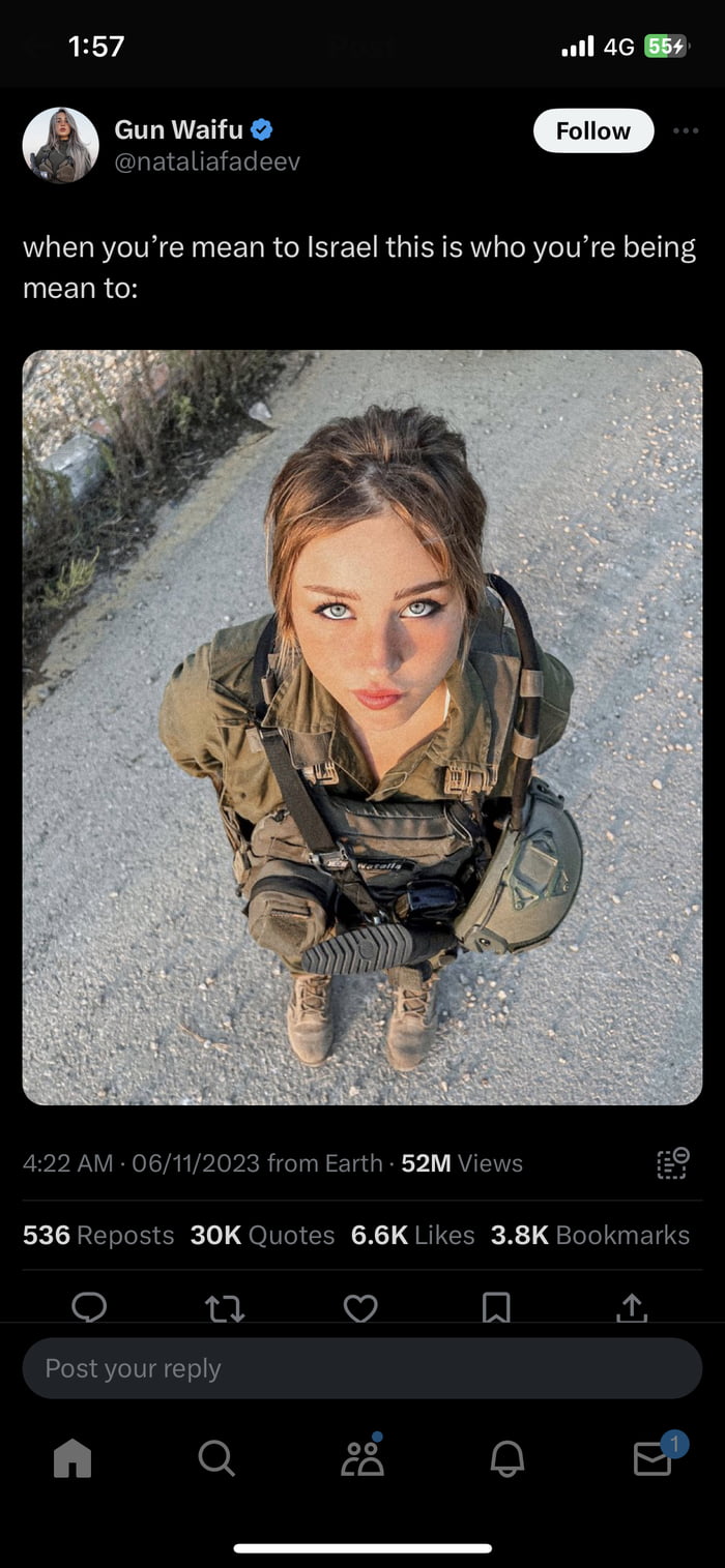 Not The IDF Girls Posting Thirst Traps On X Their Propaganda Machines