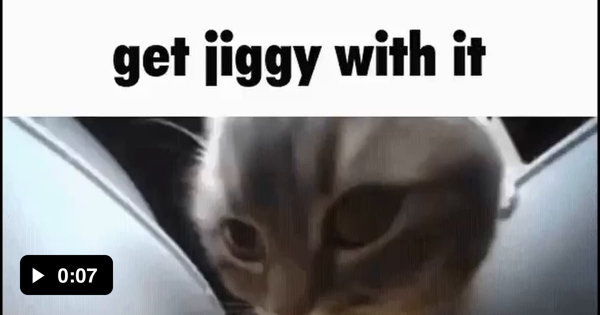 Cat - 9GAG