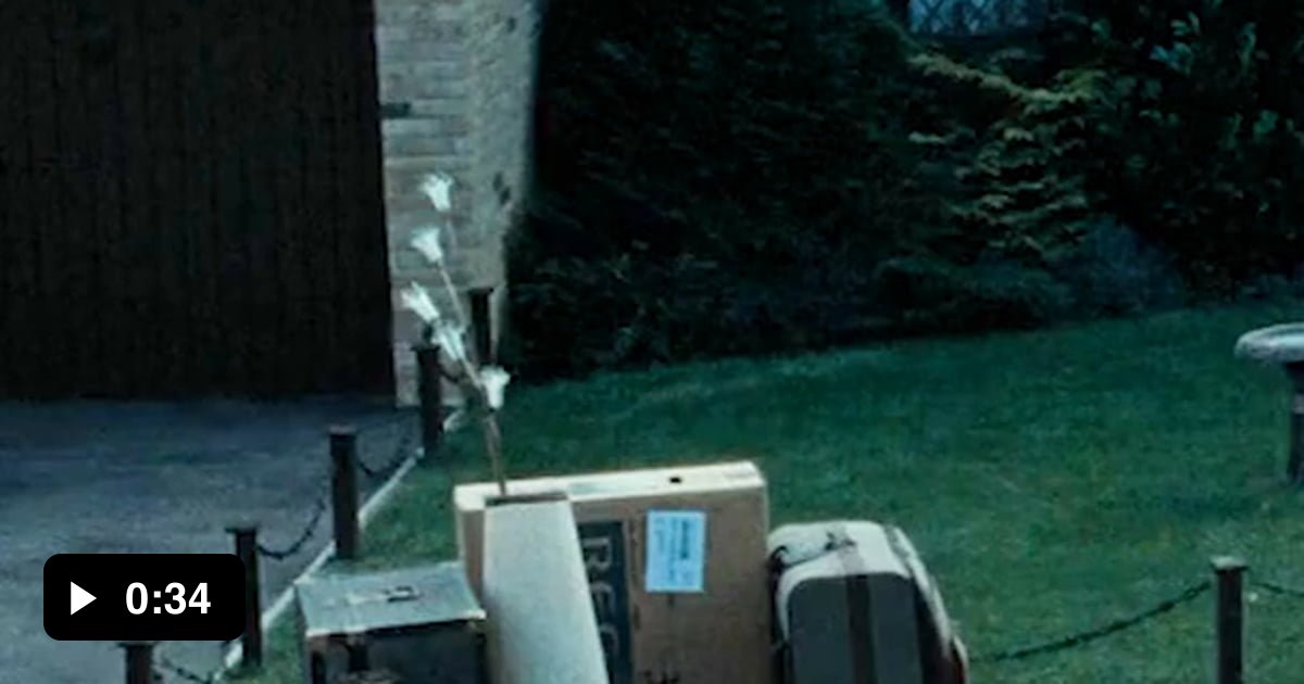 Dudley dursley's little moment was snatched and deleted. 9GAG