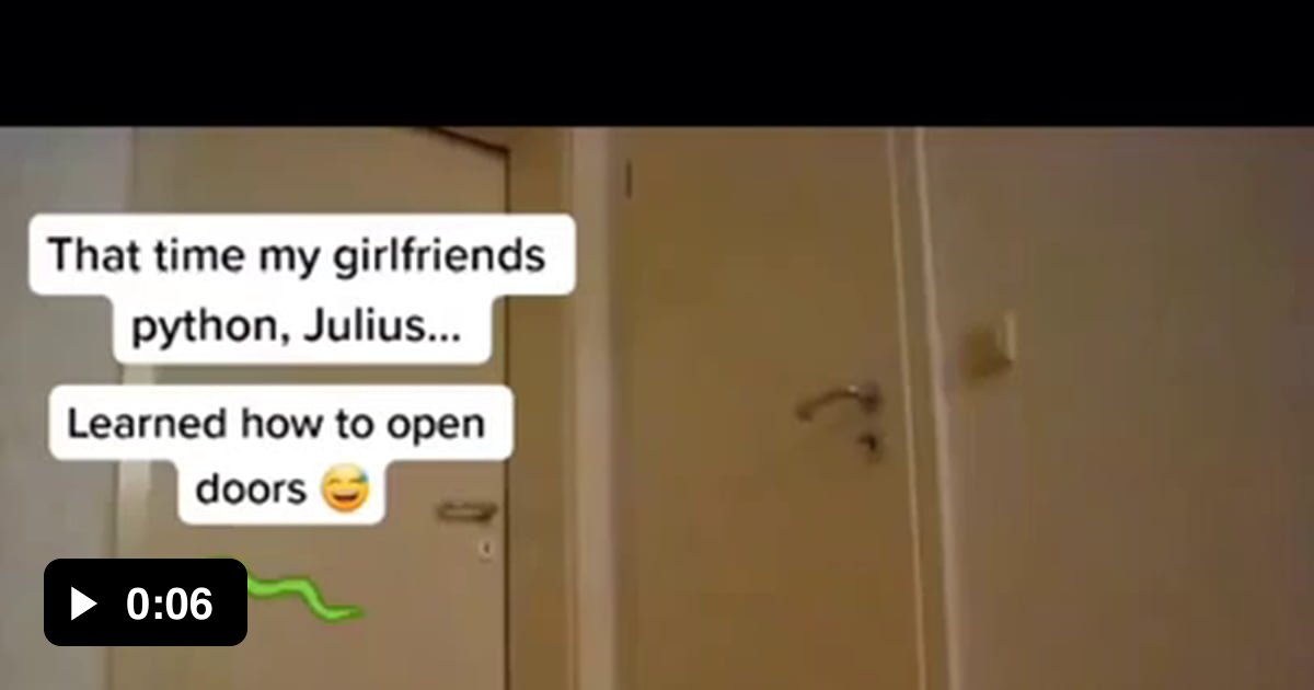 This python that learned how to open a door by itself. - 9GAG