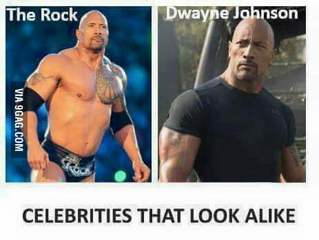 Anyone else think The Rock and Dwayne Johnson look a lot alike? : r/memes