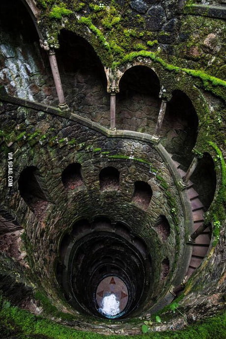 Shadow of the Colossus in real life - 9GAG