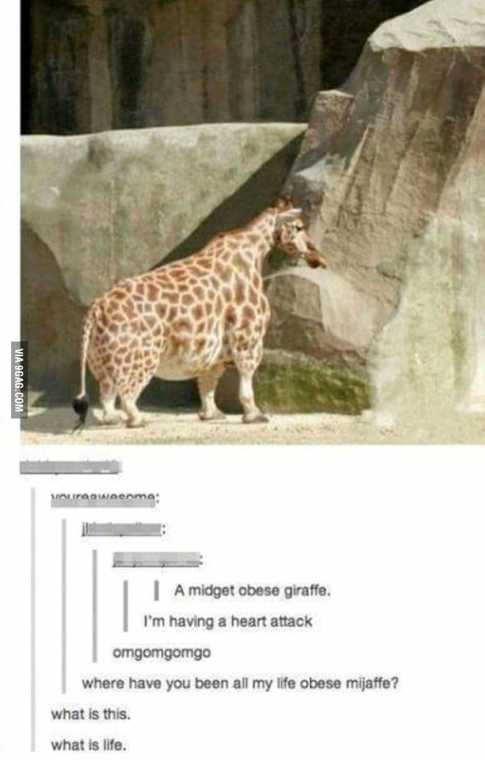 Obese Midget Giraffe. - 9gag