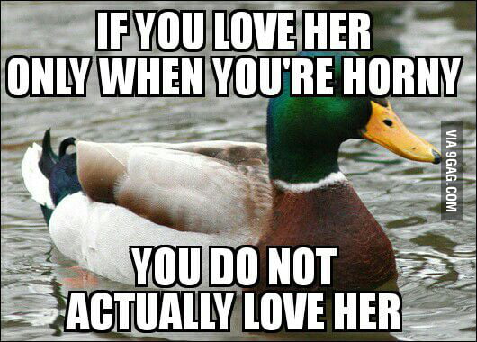 gave me an advice gave me an advice