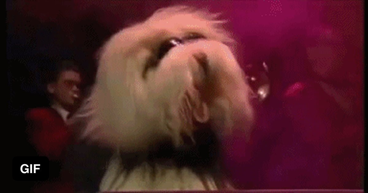 Dog turning up in the disco 9GAG