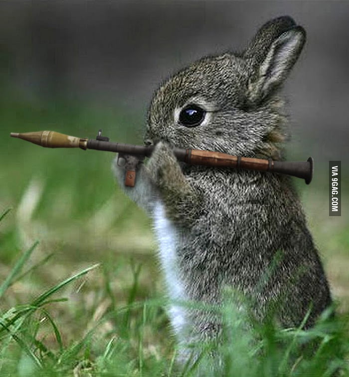 Just animal with gun, nothing special 9GAG