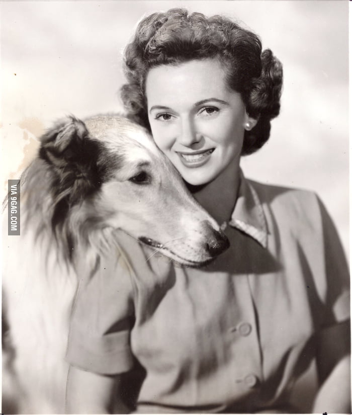 Лэсси 1954. Лесси 1954. Эллен Миллер. Лесси собака 1954.