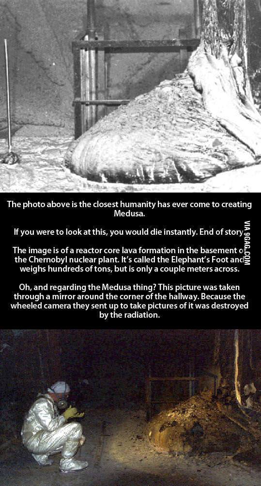 Here you go, elephant's foot. 9GAG