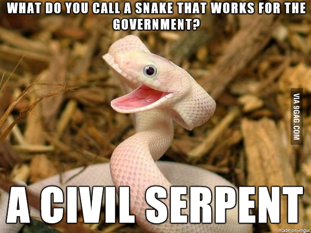 Joking snake - 9GAG