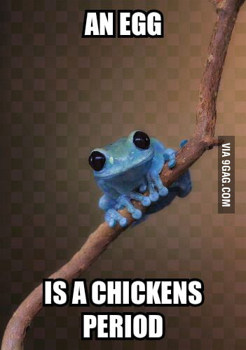 For all of those who feel guilty when they eat eggs. - 9GAG