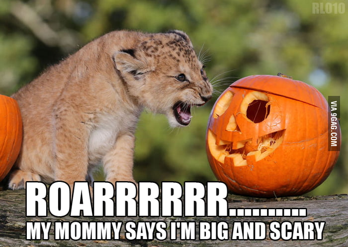 Roarrrrrrrr