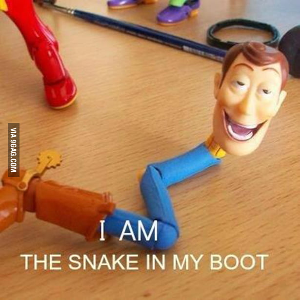 i-am-the-snake-in-my-boot-9gag