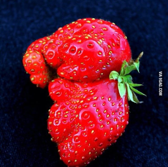 This strawberry looks like a baby elephant 9GAG