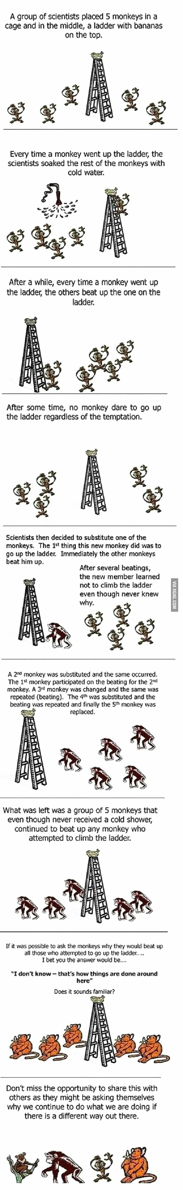 I just found this. - 9GAG