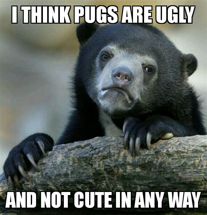 but-i-like-dogs-in-general-9gag