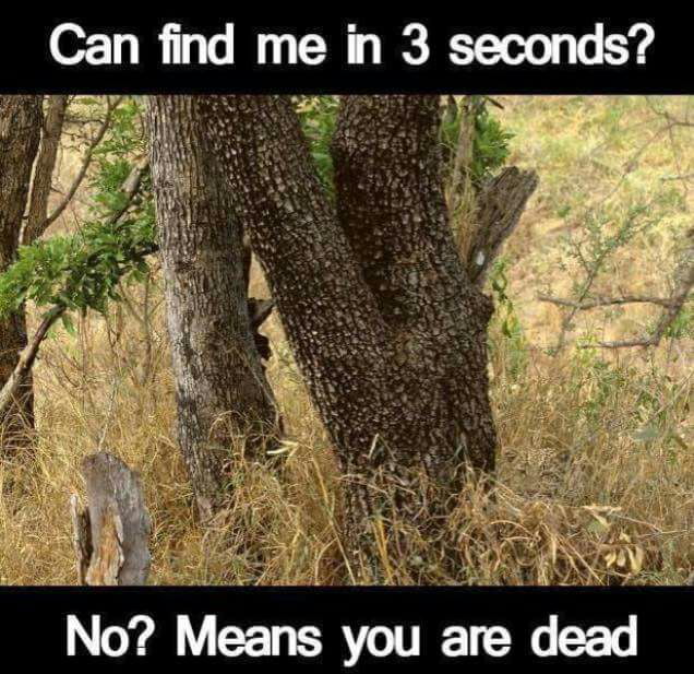 Can you? - 9GAG