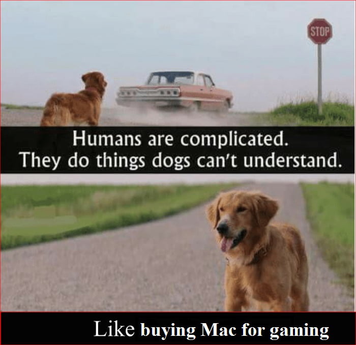 mac for gaming meme
