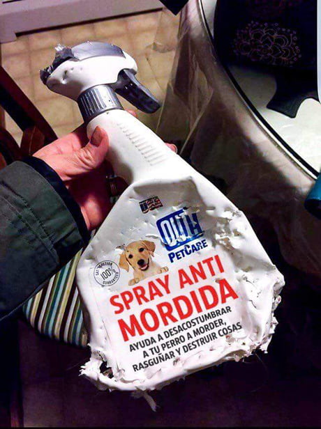 anti dog attack spray
