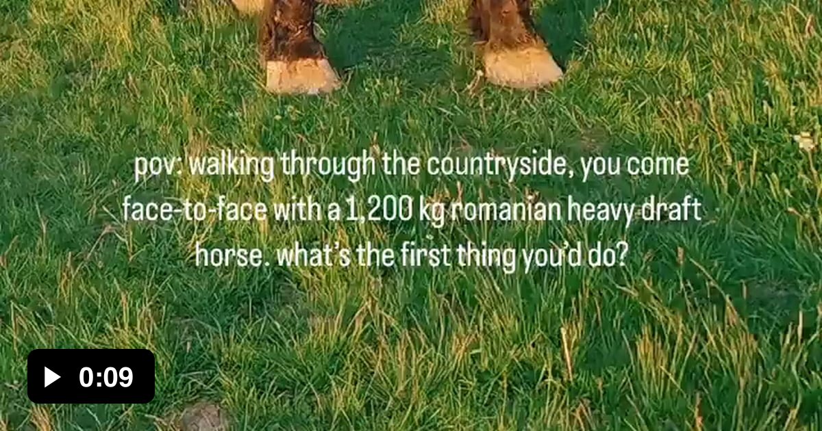 Of a 1200kg Romanian Heavy Draft Horse - 9GAG