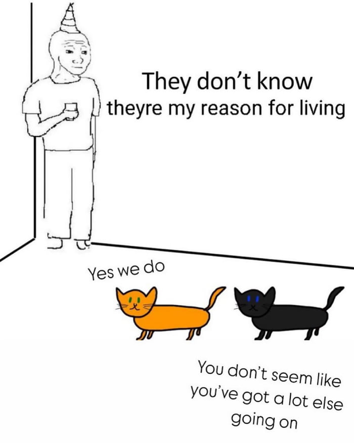 When your cats know you better than you think - 9GAG