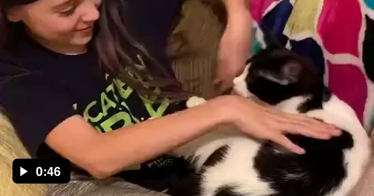 Cat keeps coming back 9GAG