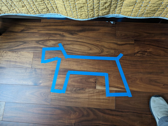 Dog fell off the bed during the night. Didn't have any chalk. 9GAG