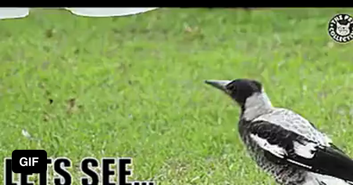 It's an older meme Sir, but it checks out - 9GAG